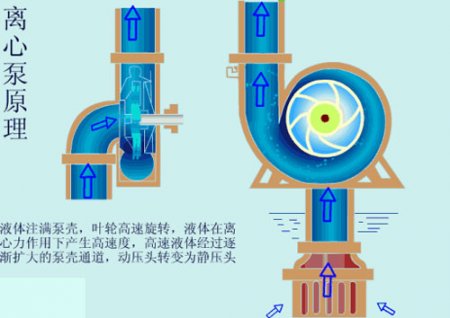 如何正确启动离心泵？启动时要不要关闭出口阀